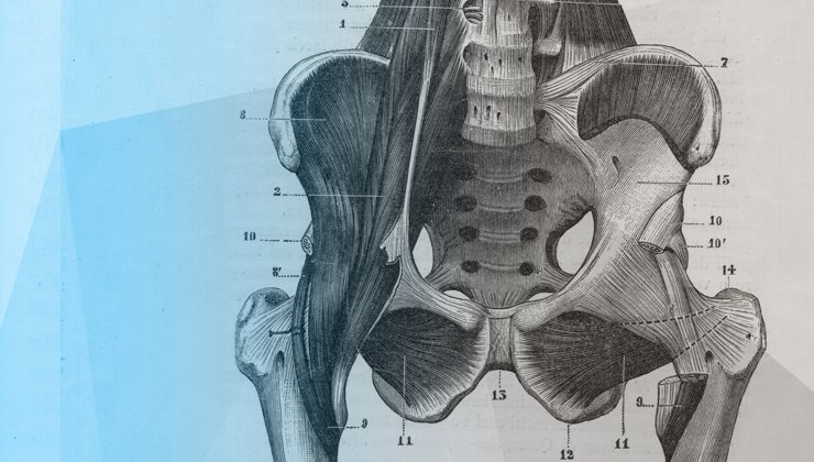 Principio Osteopatia Unità del corpo